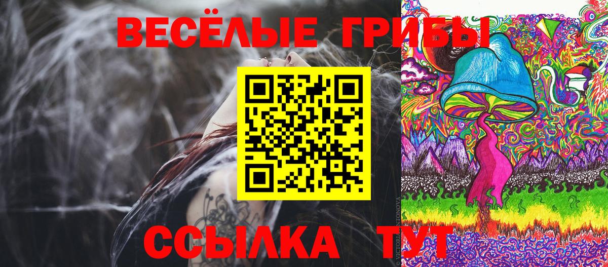 Псилоцибиновые грибы мицелий Малоярославец
